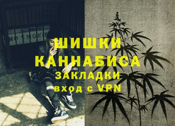 прущая мука Богородск