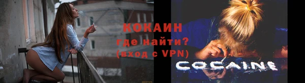 шишки Балабаново