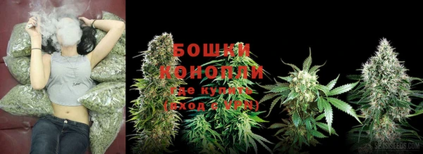 spice Баксан