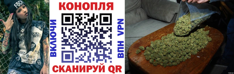 Конопля сатива  площадка формула  Демидов 